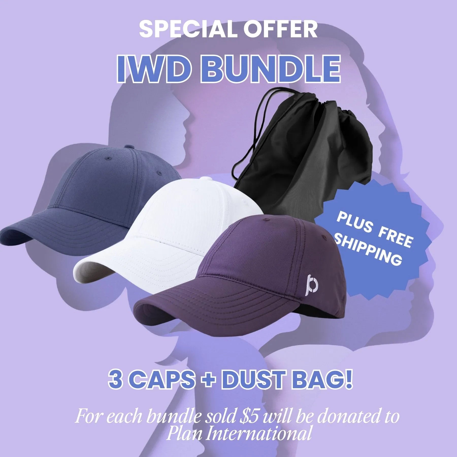 IWD Bundle